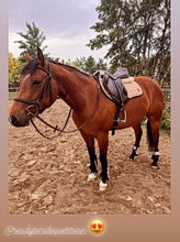 Load image into Gallery viewer, Saddle Pad + Matching Bonnet ROSE GOLD GLITTER