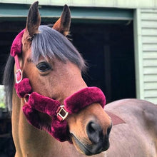 Load image into Gallery viewer, CLEARANCE PRICE! R2R Fluffy Halter Rose Gold Fittings BURGUNDY
