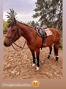 Saddle Pad + Matching Bonnet ROSE GOLD GLITTER
